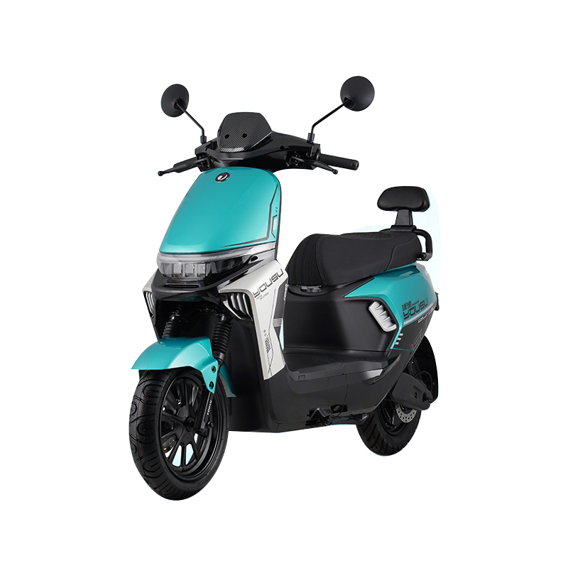 Hoe weerbestendig is de Turtle Model elektrische scooter, vooral tegen regen, stof of extreme temperaturen?